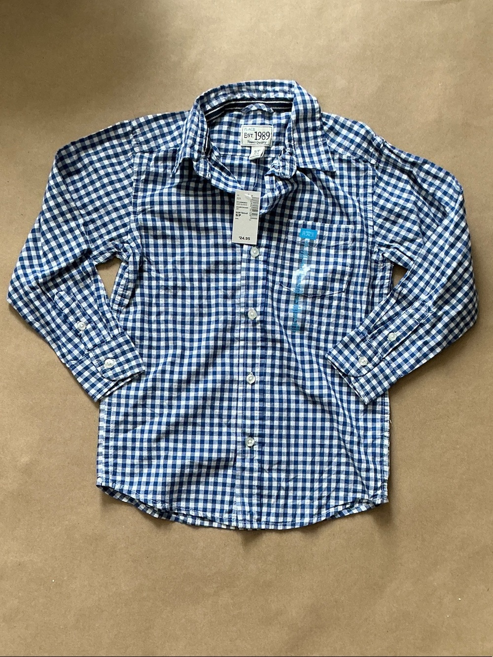 The Children's Place Blue & White Gingham Button-Down Shirt